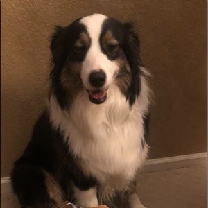 Meet your Posher, Connie